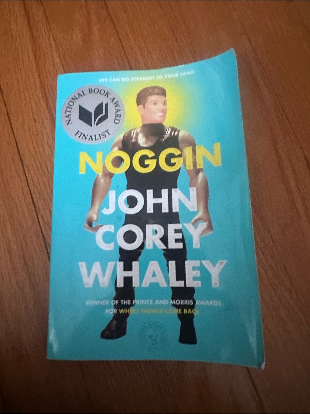 Noggin book